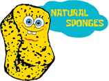 San Boat logo